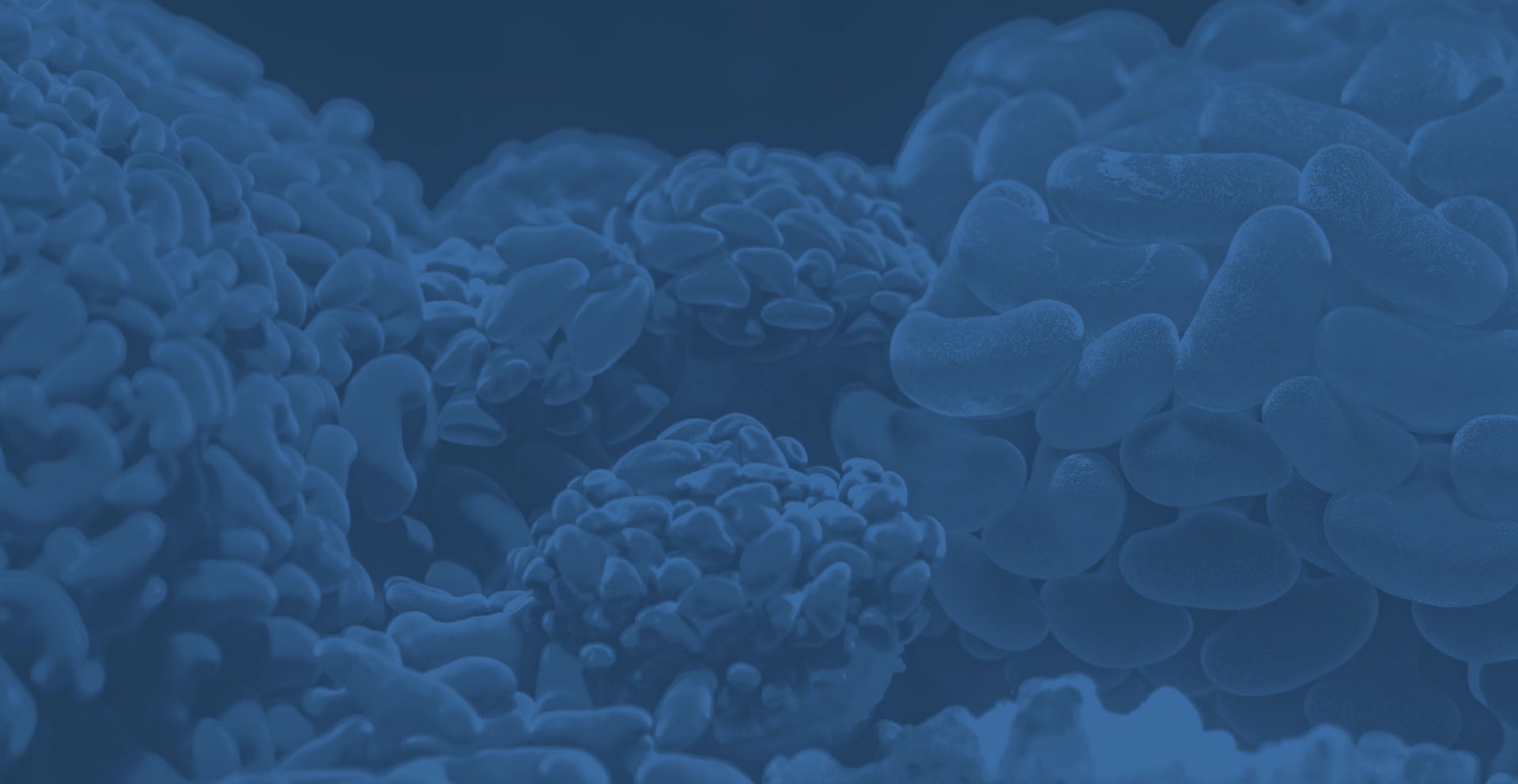 Brain looking matter with a blue overlay, left side