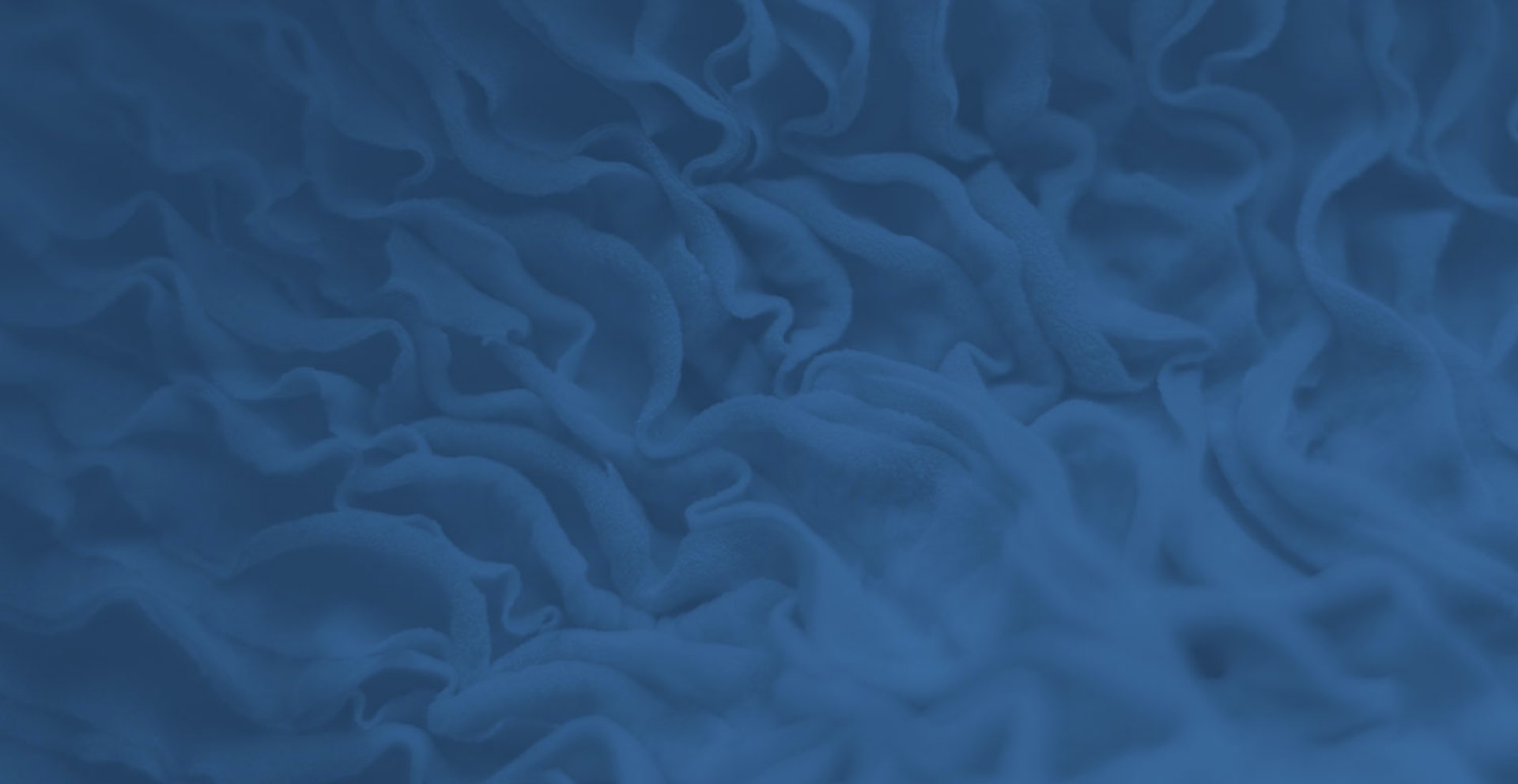 Brain looking matter with a blue overlay, right side